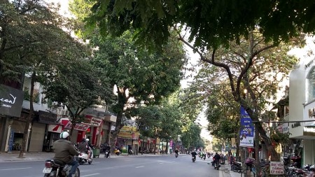 Bán gấp nhà mặt phố Huế, Hoàn Kiếm, DT 110m, MT 4.5m, 4T, kinh doanh tốp 1, giá 45 tỷ
