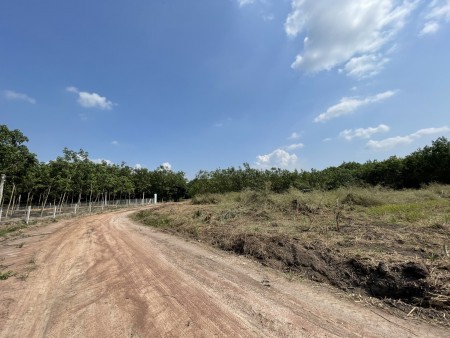 Đất An Phú Bình Phước 1000m2 giá rẻ sổ sẵn