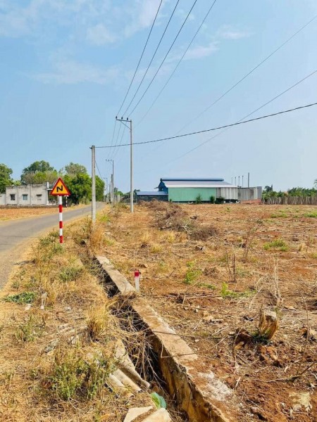BÁN ĐẤT NGAY TT ĐẤT ĐỎ, 125M2, SHR