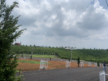 Đi đến slide 6