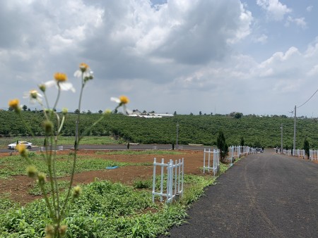 Đi đến slide 8