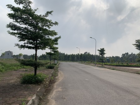 Đi đến slide 7