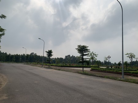 Đi đến slide 6