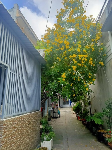 Bán nhà Nguyễn Sơn, Tân Phú, 30m2, Nhà mới tuyệt đẹp, Chỉ còn 2.8 Tỷ