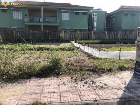 Bán đất Biệt thự khu 31ha Trâu Quỳ -258m2 gần vườn hoa Shophoues. 0982852808