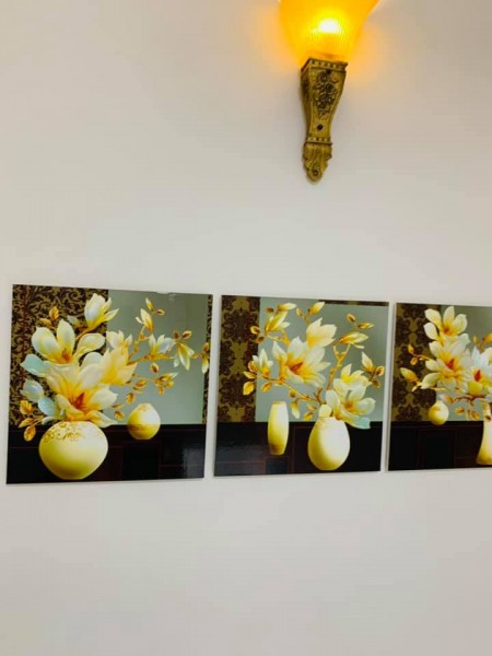 Bán gấp nhà Đội Cấn – Liễu Giai, Lô góc 3 thoáng, 40m2 * 5T, cách phố 50m. full Nội Thất.
