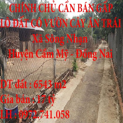 CHÍNH CHỦ CẦN BÁN GẤP LÔ ĐẤT ĐÃ CÓ VƯỜN CẤY ĂN TRÁI HUYỆN CẢM MỸ ĐỒNG NAI