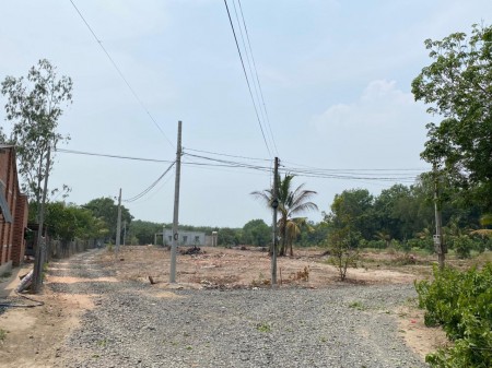 Bán đất Tân HIệp Tân Châu Tây Ninh