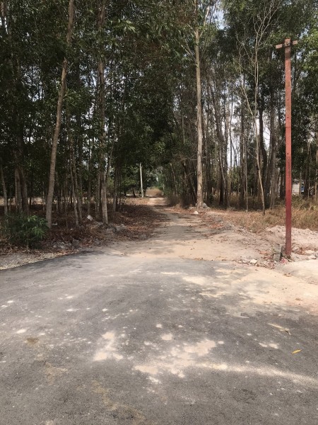 Đi đến slide 13