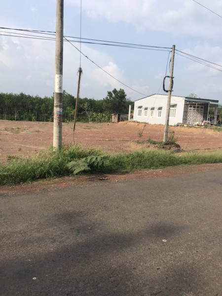Bán gấp đất Tân Hưng, Đồng Phú 469m2 (10m x 46m) thổ cư 100m2 mặt tiền đường nhựa 29m.