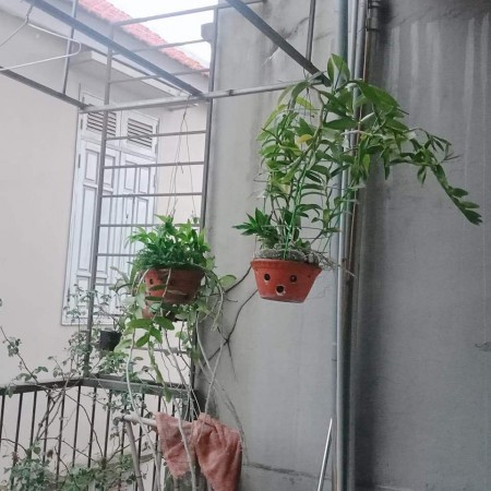 AN DƯƠNG VƯƠNG TRUNG TÂM PHÚ THƯỢNG NHÀ ĐẸP Ở NGAY Ô TÔ TRÁNH 15M