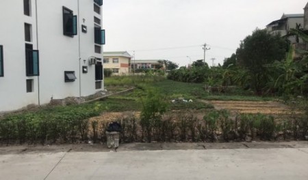 Bán gấp 100m2 đất sổ đỏ thị trấn Tiền Hải giá chỉ 1,99 tỷ