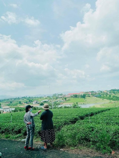 Đi đến slide 3