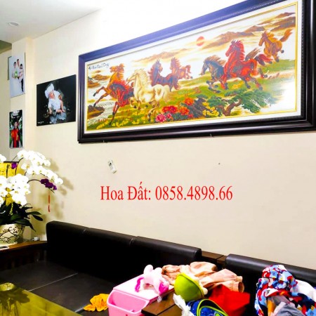 Đi đến slide 5