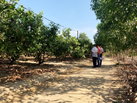 Đi đến slide 6