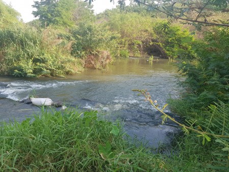 Siêu phảm đất view suối thác chỉ 130 triệu/1000m2