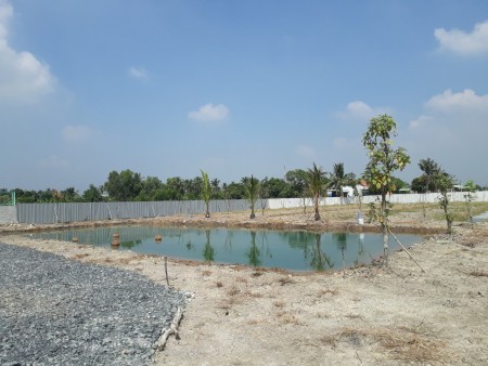 Đi đến slide 11