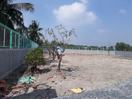Đi đến slide 12