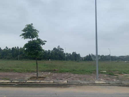 CẦN TIỀN BÁN GẤP LÔ HƯỚNG ĐÔNG NAM - NẰM TẠI TRỤC CHÍNH KĐT MỚI XUÂN HOÀ