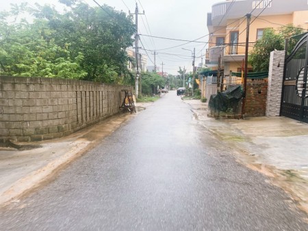Chính chủ cần tiền muốn bán nhanh vài lô thu hồi vốn tại Hòa Qúy !