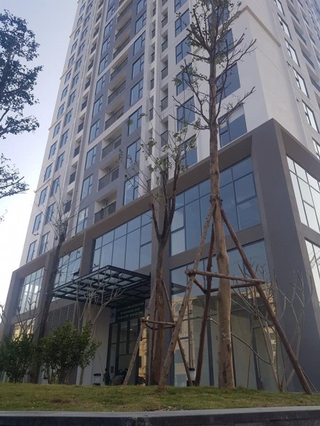 Mở Bán Tòa DV03 - đợt 2 nhiều ưu đãi quà tặng lên tới 200 triệu. Quý 4/2021 bàn giao cho cư dân về ở