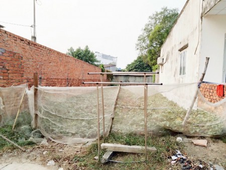 Bán đất thổ cư 125m2 Phước Đông Cần Đước sổ hồng riêng