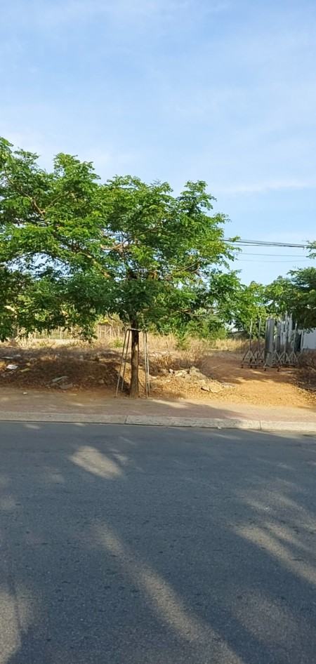 Bán đất thổ cư sổ riêng mặt tiền đường DX 082, ngay canh trường Tiểu học Định Hòa, giá 950 triệu, diện tích 100m2. Liên hệ 0374991279 MInh Anh