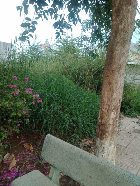 Đi đến slide 1