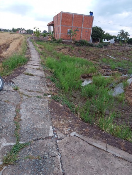 Đi đến slide 7