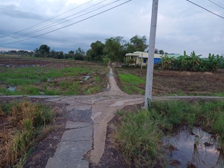 Đi đến slide 8