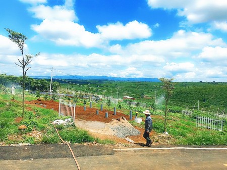 Đất Nền Nghỉ Dưỡng Bảo Lâm - Bảo Lộc