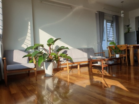 Bán căn góc 1PN 54m2 Ehome 5, Quận 7 full nội thất giá 2,04 tỷ