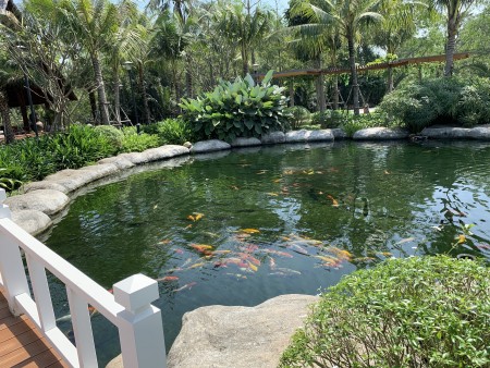 Đất view sông đồng nai long phước quận 9 LH 0903 066 813 chuyễn bđs nhà vườn