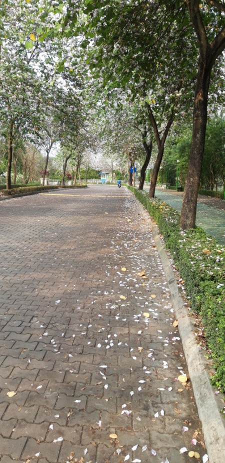 Đi đến slide 4