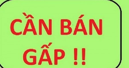 Cần bán gấp nhà mặt Ngõ Phố Bạch Mai, Hai Bà Trưng