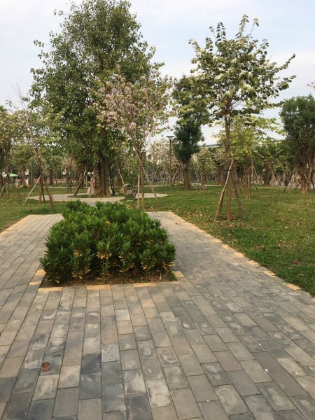 Đi đến slide 6