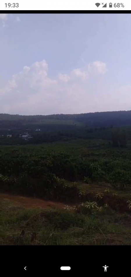 Bán gấp 2000 m² đất view Bảo Lâm