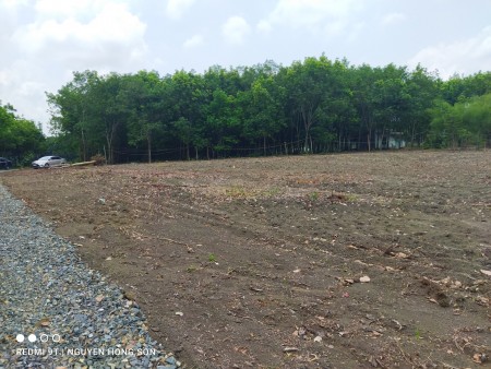 Bán đất Bình Phước 2 mặt tiền giá rẻ chỉ từ 399tr/1000m2