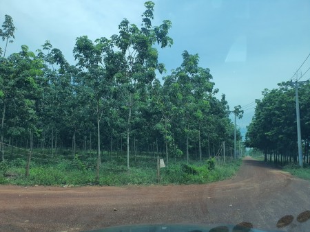 Đi đến slide 6