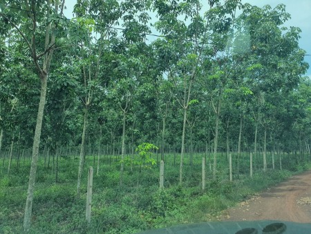 Đi đến slide 8