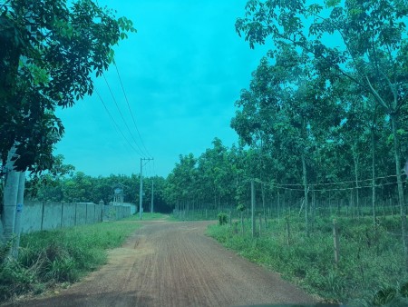 Đi đến slide 9