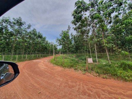 Đi đến slide 10