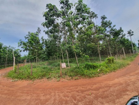 Đi đến slide 11