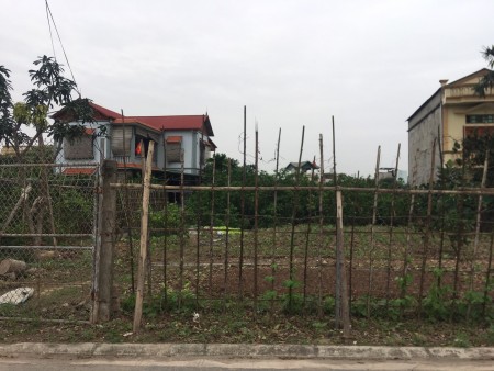 Gia đình có việc bán gấp mảnh đất biệt thự 31ha Trâu Quỳ 100m khu H2-35