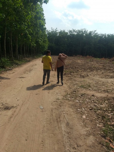 Cần bán đất Chánh Phú Hòa gần chợ Chánh Lưu !