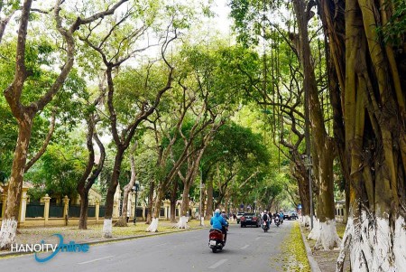Đi đến slide 3