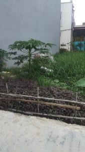 Chính chủ cần bán lô đất vị trí đẹp ở An Dương Hải PHòng