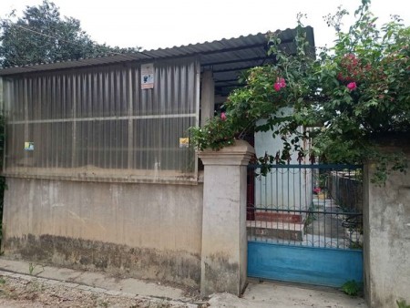 Bán đất tại đội 3 xã Thanh Hưng, Điện Biên