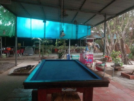 Cho thuê mặt bằng kinh doanh cá cánh, cây cảnh.