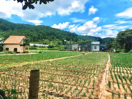 Bán Đất Đức Trọng Lâm Đồng gần sân bay liên khương